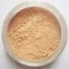 Natural Light Foundation Powder [100 x 100]