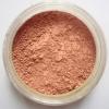 Latte Foundation Powder [100 x 100]